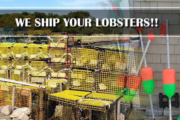 Peteys Summertime Seafood & Bar - Fresh Lobsters shipped anywhere Peteys Summertime Seafood & Bar - Fresh Lobsters shipped anywhere